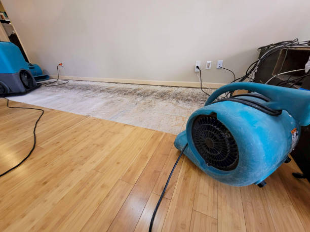 Professional Basement Flood Cleanup technician working in Windsor, WI